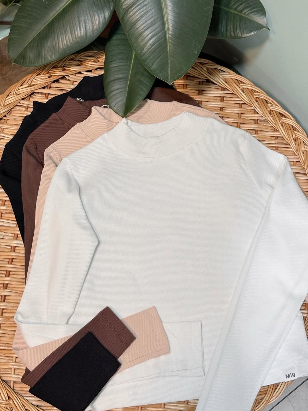 تصویر بلوز کراپ یقه سه سانتی فینگر دار 